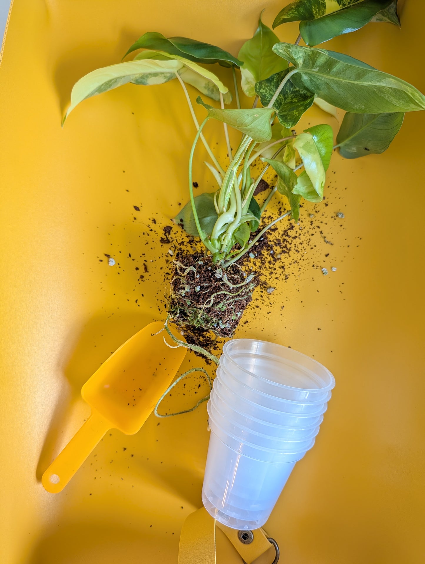 Gardening mat ππΏ