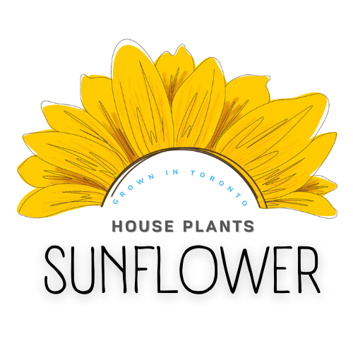 Sunflower Plant Shop