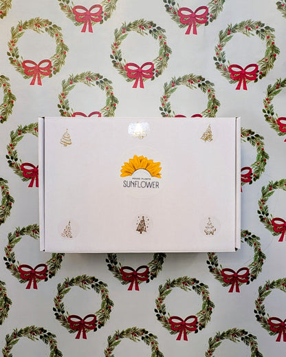 Gift set / Become a Santa for a child