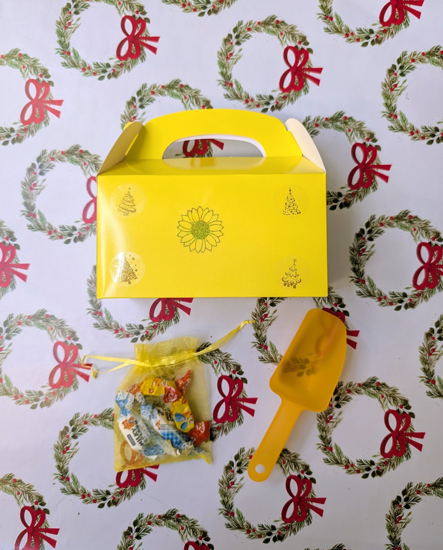 Mystery small plant bundle 💛🎄🌿