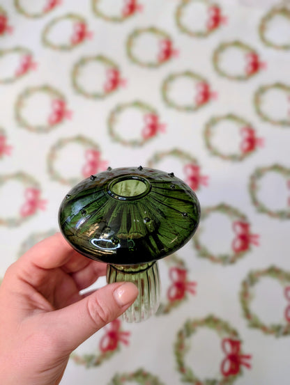 Propagation vase 💛🎄🌿