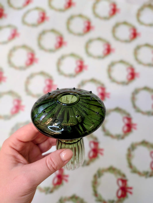 Propagation vase 💛🎄🌿